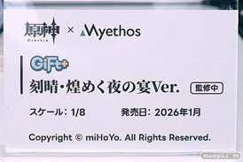 ワンダーフェスティバル2025 [夏]  フィギュア ADKエモーションズ シトラリ  21