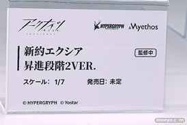 ワンダーフェスティバル2025 [夏]  フィギュア ADKエモーションズ 新約エクシア 昇進段階2VER.   14