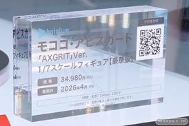 ワンダーフェスティバル2025 [夏]  フィギュア デザインココ イレイナ 11