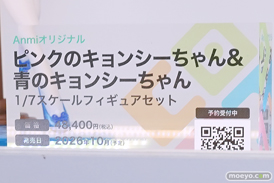 ワンダーフェスティバル2025 [夏]  フィギュア デザインココ イレイナ 22