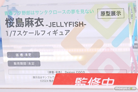 ワンダーフェスティバル2025 [夏]  フィギュア デザインココ イレイナ 31