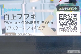 ワンダーフェスティバル2025 [夏]  フィギュア デザインココ イレイナ 35