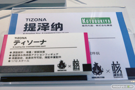 ワンダーフェスティバル2025 [夏]  フィギュア 核誠治造 ティソーナ スターフラワー・ローズ 05