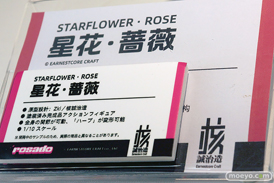 ワンダーフェスティバル2025 [夏]  フィギュア 核誠治造 ティソーナ スターフラワー・ローズ 09