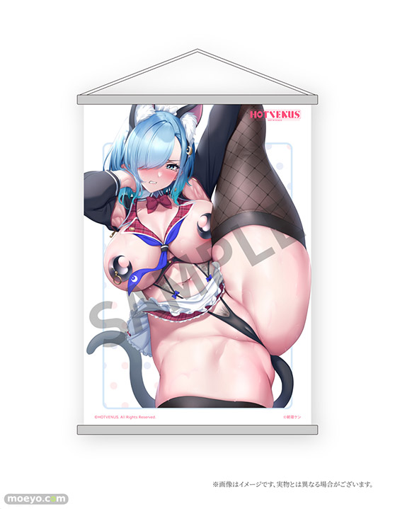 HOTVENUS 朝寝ケンオリジナルキャラクター スケベガールY字バランス CoRA シロ Fcdp ネイティブ エロ キャストオフ フィギュア 35