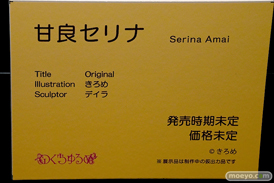 第11回 ネイティブグループ合同展示会（エロホビ） エロ フィギュア キャストオフ のくちゅるぬ きろめ デイラ 甘良セリナ 25