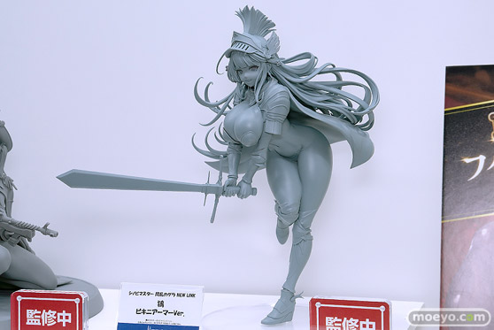 ワンダーフェスティバル2025 [夏]  フィギュア メディコス・エンタテインメント シノビマスター 閃乱カグラ NEW LINK 鴉 ビキニアーマーVer. ぽんず ピンポイント 03