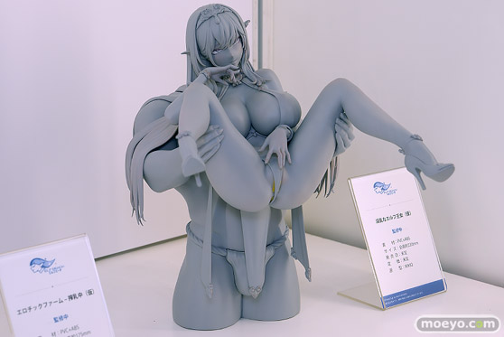 ワンダーフェスティバル2025 [夏]  フィギュア キャストオフ エロ ELF BEACH 淫乱なエルフ王女（仮） MIKIO 02