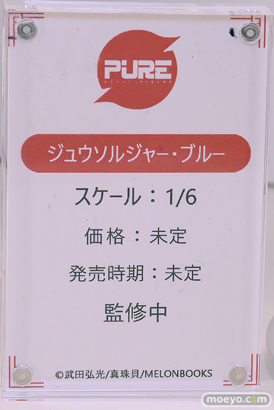 ワンダーフェスティバル2025 [夏]  フィギュア キャストオフ エロ PURE ジュウソルジャー・ブルー 武田弘光 14