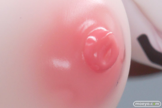 Pink・Cat バニスタイン・ファンタジー レディ・ホルスタイナー Ver.PIMAX あろえもなか DimentionTrace 千里GAN エロ フィギュア キャストオフ PVC 44