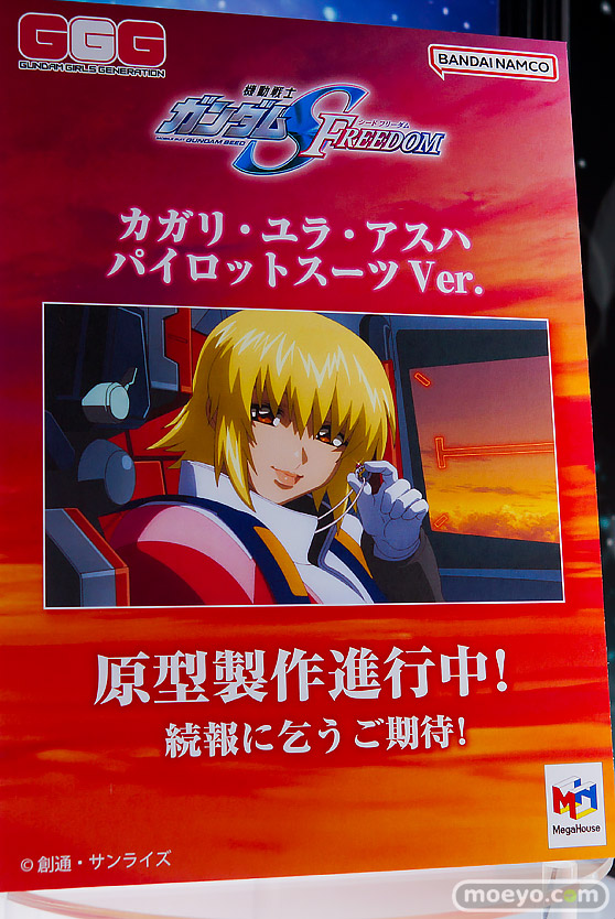 メガホビEXPO2025 フィギュア メガハウス レイン ギギ ニコ・ロビン 17