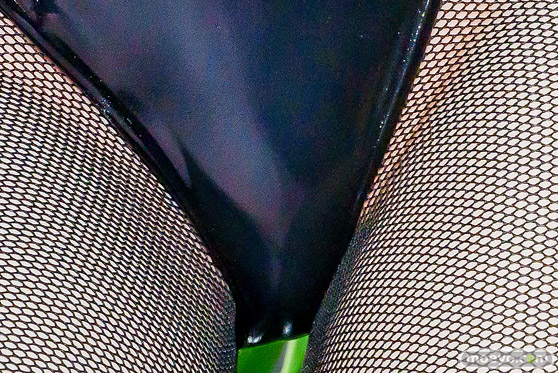 メガホビEXPO2025 フィギュア フリーイング B-style コードギアス 反逆のルルーシュ C.C.バニーVer. 盛蔵 ドラゴンクラフト 松田モデル 17