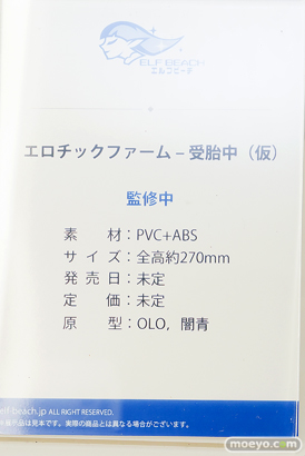 ワンダーフェスティバル2025 [夏]  フィギュア キャストオフ エロ ELF BEACH エロチックファーム – 受胎中 （仮） OLO 闇青 14