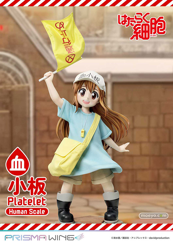 プライム1スタジオ PRIME1STATUE ライフスケールマスターライン はたらく細胞 血小板 ヒューマンスケール 02