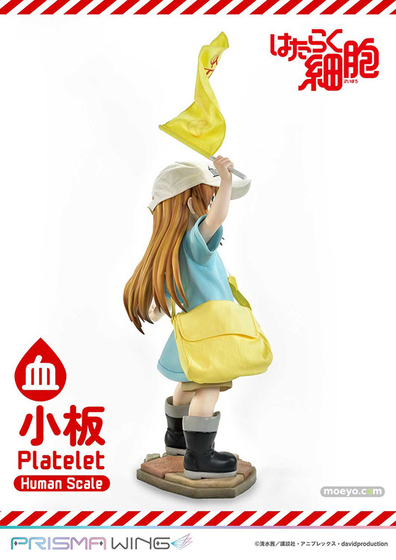 プライム1スタジオ PRIME1STATUE ライフスケールマスターライン はたらく細胞 血小板 ヒューマンスケール 07