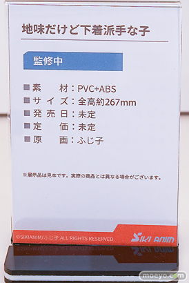 ワンダーフェスティバル2025 [夏]  フィギュア SIKI ANIM 地味だけど下着派手な子 ふじ子 12