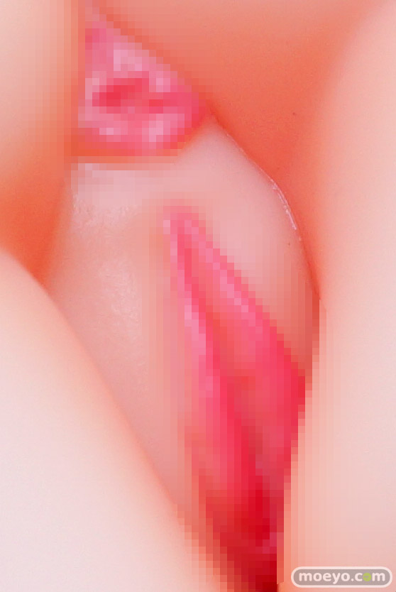 Pink・Cat バニスタイン・ファンタジー ナデシコ 秘密の診察室Ver. あろえもなか YOSHI グラハム仮面 千里GAN エロ キャストオフ フィギュア 製品版 46