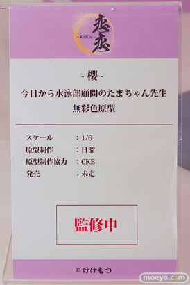 ワンダーフェスティバル2025 [夏]  フィギュア 恋恋 今日から水泳部顧問のたまちゃん先生 日溜 CKB 09