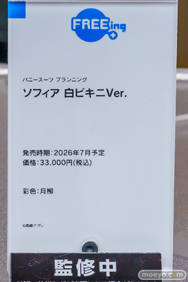 宮沢模型 第47回商売繁盛応援セール フィギュア グッドスマイルカンパニー マックスファクトリー ソフィア メイデン グアム イチェル 17