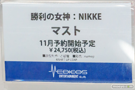 宮沢模型 第47回商売繁盛応援セール フィギュア メディコス・エンタテインメント マスト イリヤ 鴇 04