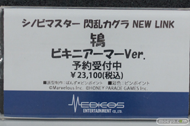 宮沢模型 第47回商売繁盛応援セール フィギュア メディコス・エンタテインメント マスト イリヤ 鴇 19