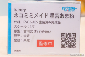 宮沢模型 第47回商売繁盛応援セール フィギュア わんだらー F.W.A.T 永井・妹 星宮あまね 森永メグミ エイレネ 04