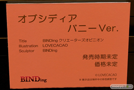 第12回 ネイティブグループ合同展示会（エロホビ） エロ フィギュア キャストオフ BINDing ミラージュ 22