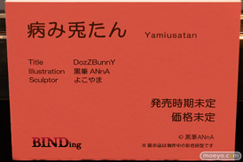 第12回 ネイティブグループ合同展示会（エロホビ） エロ フィギュア キャストオフ BINDing 女月かえで 05