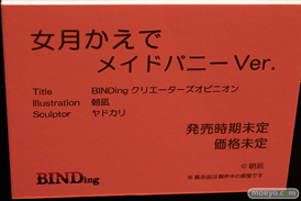 第12回 ネイティブグループ合同展示会（エロホビ） エロ フィギュア キャストオフ BINDing 女月かえで 14