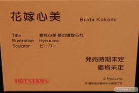 第12回 ネイティブグループ合同展示会（エロホビ） エロ フィギュア キャストオフHOTVENUS るりちゃん 10