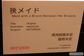 第12回 ネイティブグループ合同展示会（エロホビ） エロ フィギュア キャストオフHOTVENUS るりちゃん 25