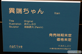 第12回 ネイティブグループ合同展示会（エロホビ） エロ フィギュア キャストオフ ネイティブ 浴場少女 05