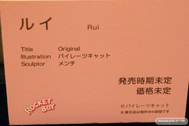 第12回 ネイティブグループ合同展示会（エロホビ） エロ フィギュア キャストオフ ロケットボーイ ルイ 25