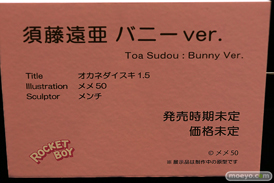 第12回 ネイティブグループ合同展示会（エロホビ） エロ フィギュア キャストオフ ロケットボーイ花街なち   11