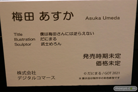 第12回 ネイティブグループ合同展示会（エロホビ） エロ フィギュア キャストオフ ロケットボーイPink-cat FROG マジックバレット デジタルコマース 34