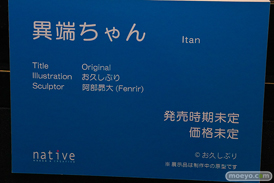 第12回 ネイティブグループ合同展示会（エロホビ） エロ フィギュア キャストオフ  黒田光 綾目 女月かえで 38