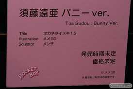 第12回 ネイティブグループ合同展示会（エロホビ） エロ フィギュア キャストオフ   るりちゃん クヌム ルイ 14