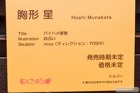 第12回 ネイティブグループ合同展示会（エロホビ） エロ フィギュア キャストオフ のくちゅるぬ パイハメ家族 胸形星 おぶい miya YOSHI 41