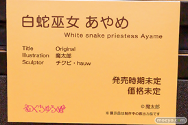 第12回 ネイティブグループ合同展示会（エロホビ） エロ フィギュア キャストオフ のくちゅるぬ 魔太郎 白蛇巫女 あやめ チクビ・hauw 44