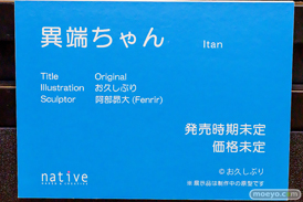 第12回 ネイティブグループ合同展示会（エロホビ） エロ フィギュア キャストオフ ネイティブ お久しぶり 異端ちゃん 阿部昂大 32