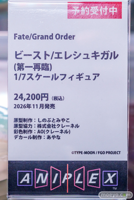2025年12月27日 秋葉原の新作フィギュア展示の様子 あみあみ 秋葉原ラジオ会館店 マスト  25