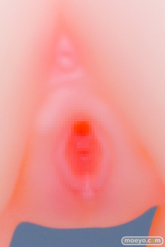 インサイト 肉感少女 白石リンカ 全裸ver. PMG エロ フィギュア 製品版 37