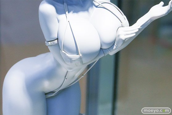 コミックマーケット107 フィギュア ダイキ工業 ラストオリジン LastOrigin ティタニア・フロスト ナース？ティタニア D蔵 10