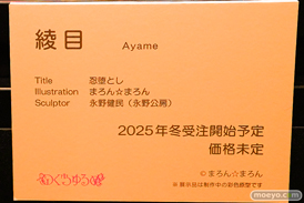 第12回 ネイティブグループ合同展示会（エロホビ） エロ フィギュア キャストオフ 忍堕とし 綾目 まろん☆まろん 永野健民 のくちゅるぬ 32
