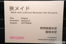 第12回 ネイティブグループ合同展示会（エロホビ） エロ フィギュア キャストオフ HOTVENUS 挟メイド 狭間める oekakizuki 18