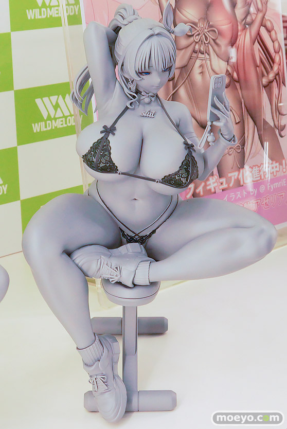 ワンダーフェスティバル2025 [夏]  フィギュア WILDMELODY 今日は胸トレ！ 波纹战士罗斯塔 Ccr丝绒 03