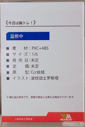 ワンダーフェスティバル2025 [夏]  フィギュア WILDMELODY 今日は胸トレ！ 波纹战士罗斯塔 Ccr丝绒 11