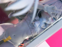 【WF2025夏】【アダルトフィギュア】蝉丸せみさんのイラストを立体化！Vivify新作エロフィギュア「猫耳サンタちゃん 金沢シホ」監修中原型が展示！