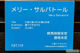 第12回 ネイティブグループ合同展示会（エロホビ） エロ フィギュア キャストオフ S家に嫁いだM嬢の日常 メリー・サルバトール 露々々木もげら 三上裕二 ネイティブ 18