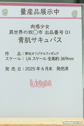 ワンダーフェスティバル2026 [冬]  フィギュア キャストオフ エロ インサイト 肉感少女 青肌サキュバス 05